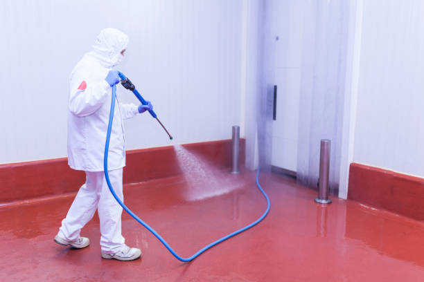 Best Solar Panel Cleaning  in Chesterfield, MO